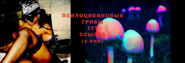 прущие крисы Армянск
