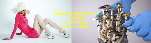прущие крисы Армянск
