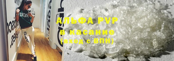 прущие грибы Арсеньев