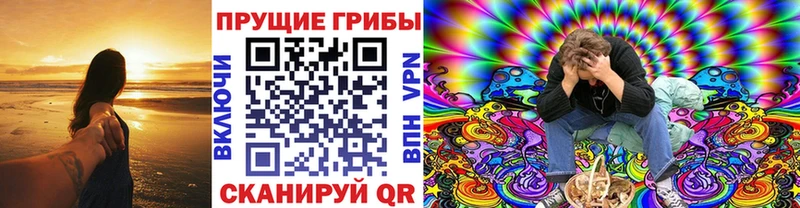 Псилоцибиновые грибы MAGIC MUSHROOMS  shop состав  Ельня 